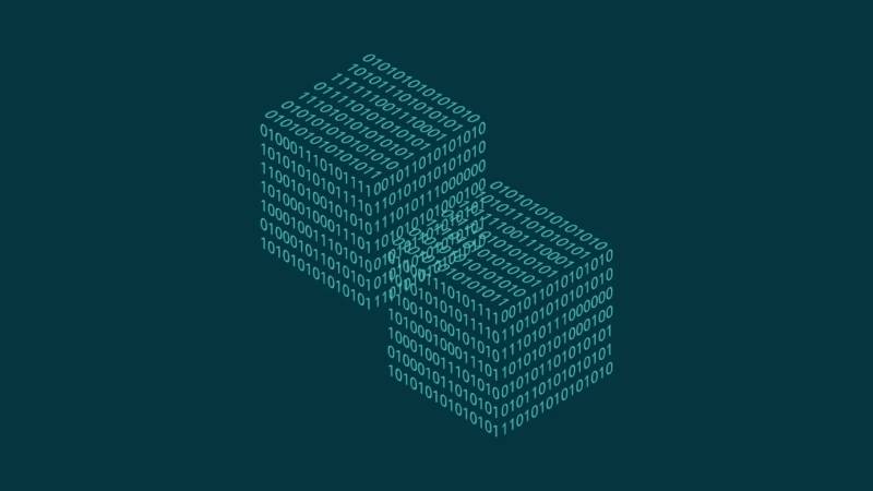 杨浦区信创改造:网络应用开发流程标准化的核心路径与实践
